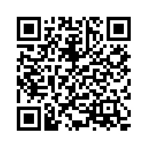 PayPal QR Code